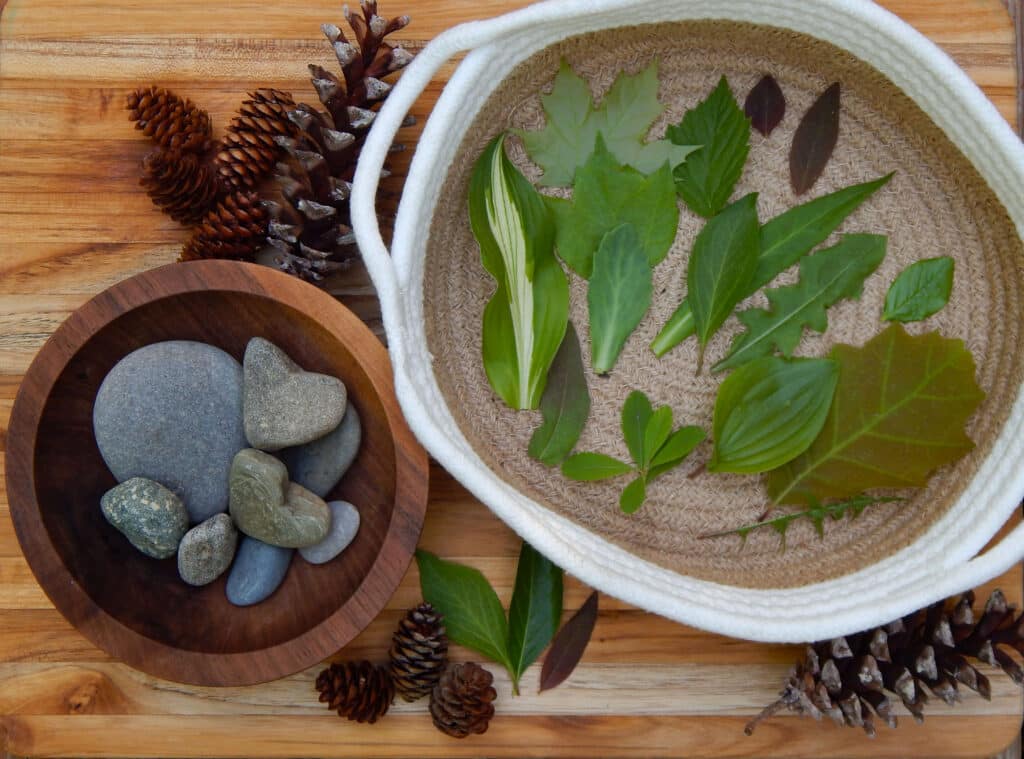 beach and rive rocks in a wooden bowl different colored green leaves in a basket and pine cones on a wooden board for a preschool sorting activity