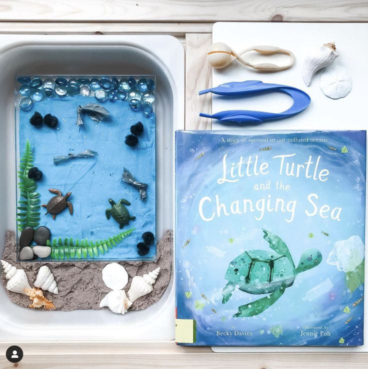 This may contain: a little turtle and the changing sea book next to it's contents on a table