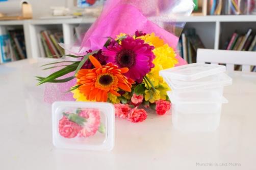 A bouquet of flowers

Description automatically generated with low confidence
