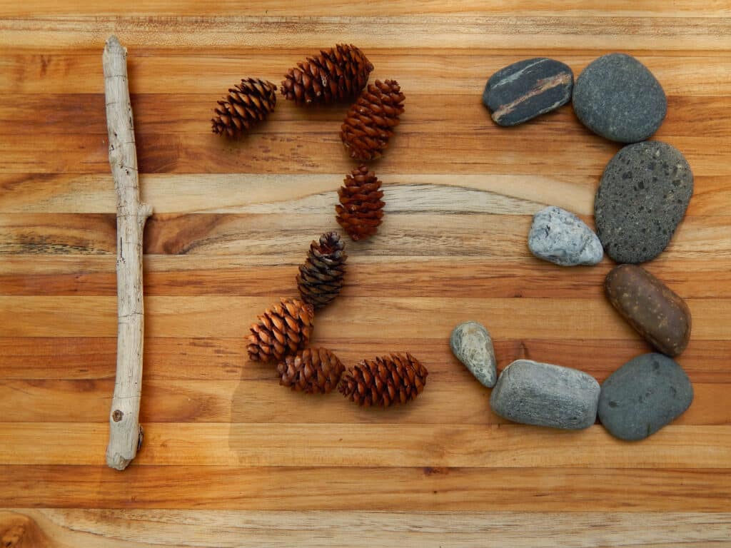 the numbers one, two, and three created using natural elements driftwood pine cones and beach rocks on a wooden board