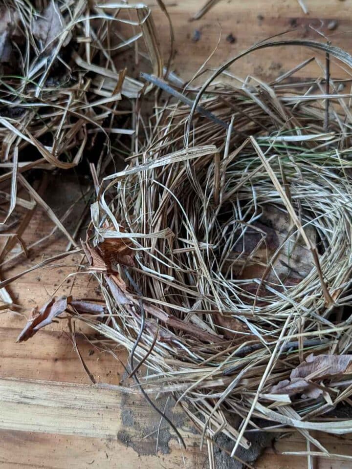 two birds nests made out of natural items including dried grass, sticks, and leaves on a wooden cutting board on a wooden floor