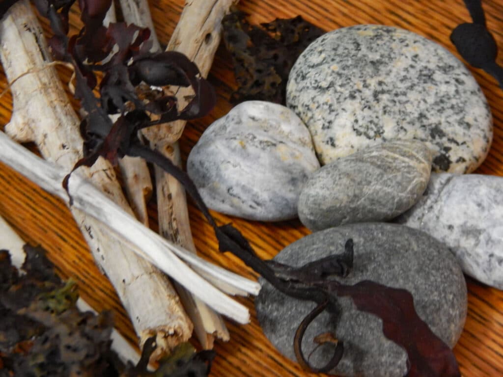 collection of ocean themed objects rocks, driftwood, and seaweed on wooden table