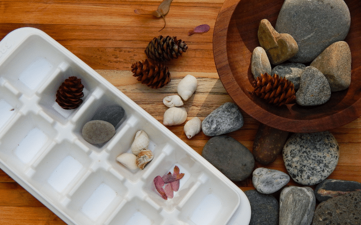 white ice cube tray containing pine cones rocks shells and seeds sorted by amount wooden bowl with rocks pine cones seeds and rocks on wooden board