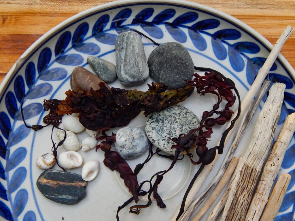 a collection of beach rocks, dried seaweed, small white shells, and diftwood for a rocky shore sensory bin in a handmade pottery platter with blue designs