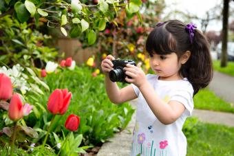 Young girl taking a picture of tulip