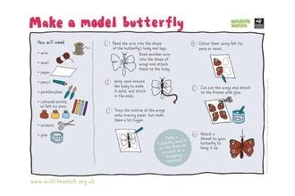 Model butterfly
