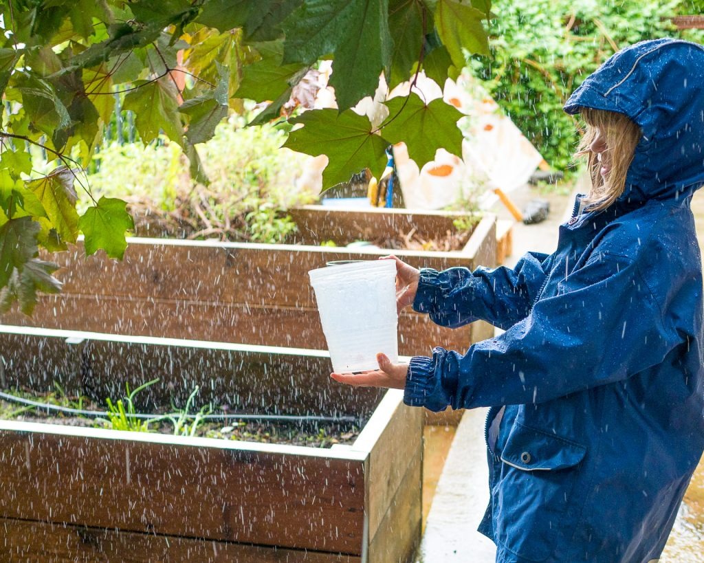 50+ Spring Nature Activities for Kids of All Ages by Backwoods Mama Josée Bergeron