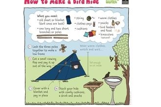 Bird hide