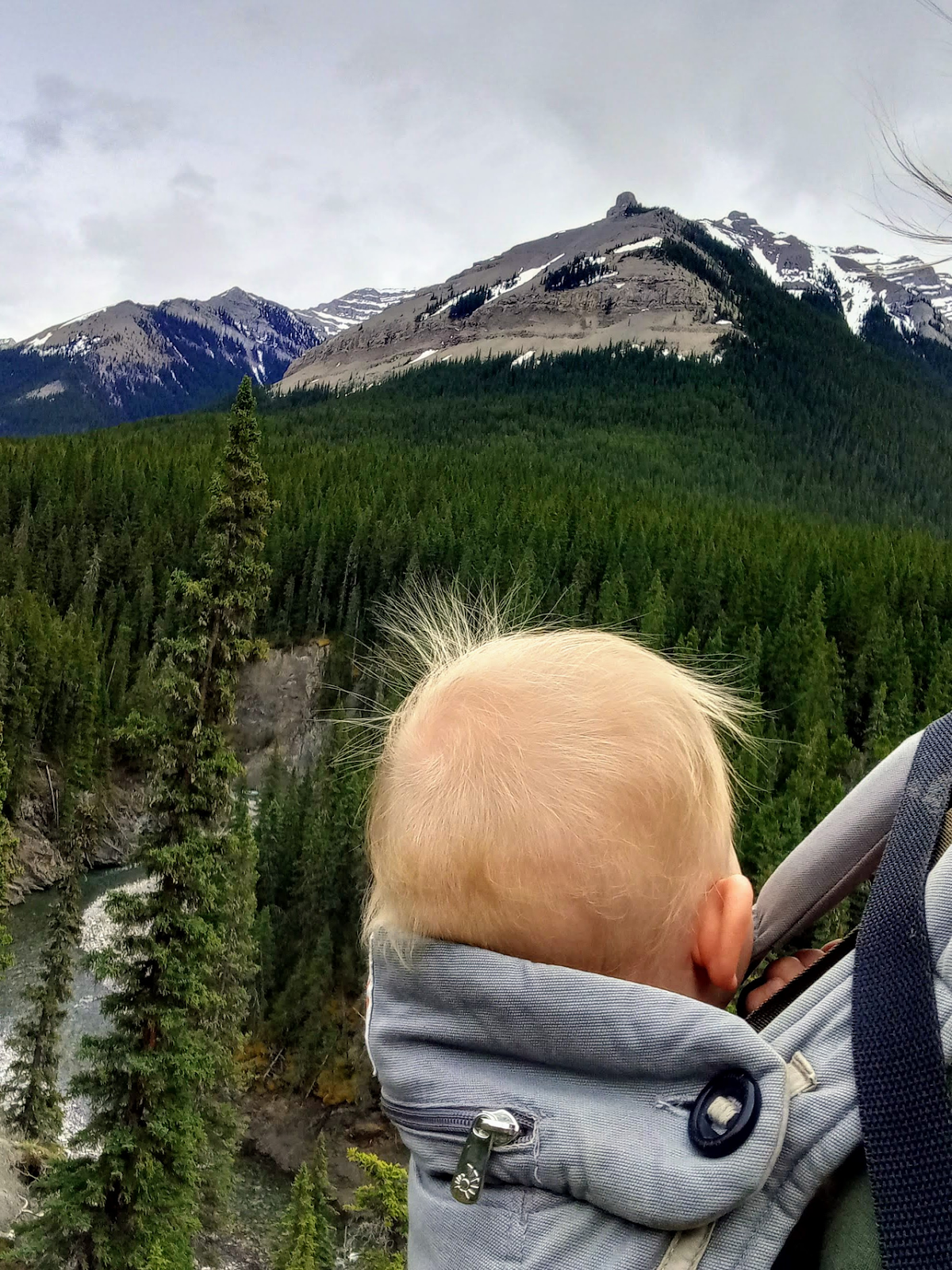 baby in carrier