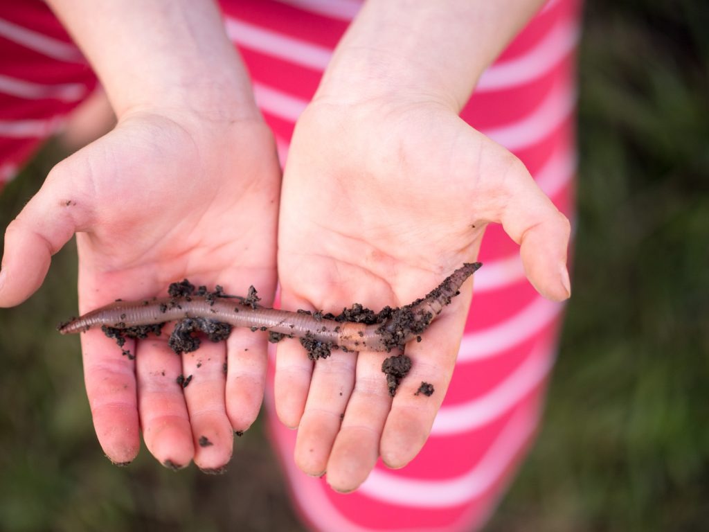 50+ Spring Nature Activities for Kids of All Ages by Backwoods Mama Josée Bergeron