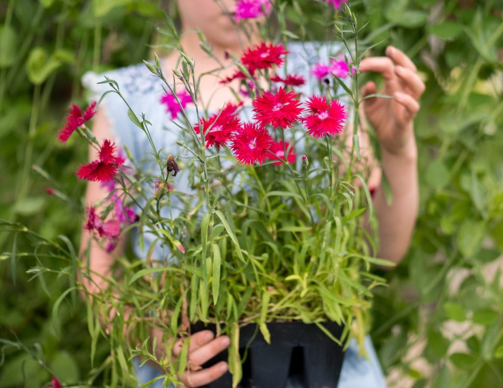 50+ Spring Nature Activities for Kids of All Ages by Backwoods Mama Josée Bergeron