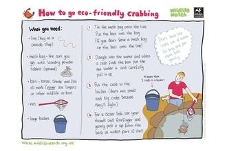 Eco crabbing