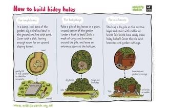 Hidey holes