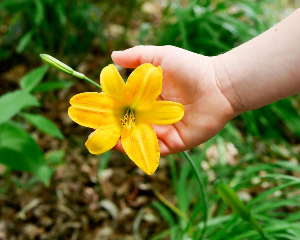 50+ Spring Nature Activities for Kids of All Ages by Backwoods Mama Josée Bergeron