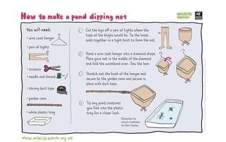 Pond dip net