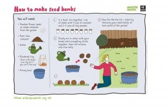 Seed bomb