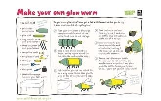 Glow worm