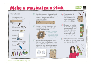 Rain stick