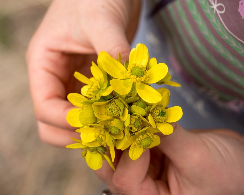 50+ Spring Nature Activities for Kids of All Ages by Backwoods Mama Josée Bergeron
