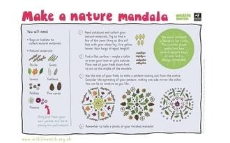 Nature mandala
