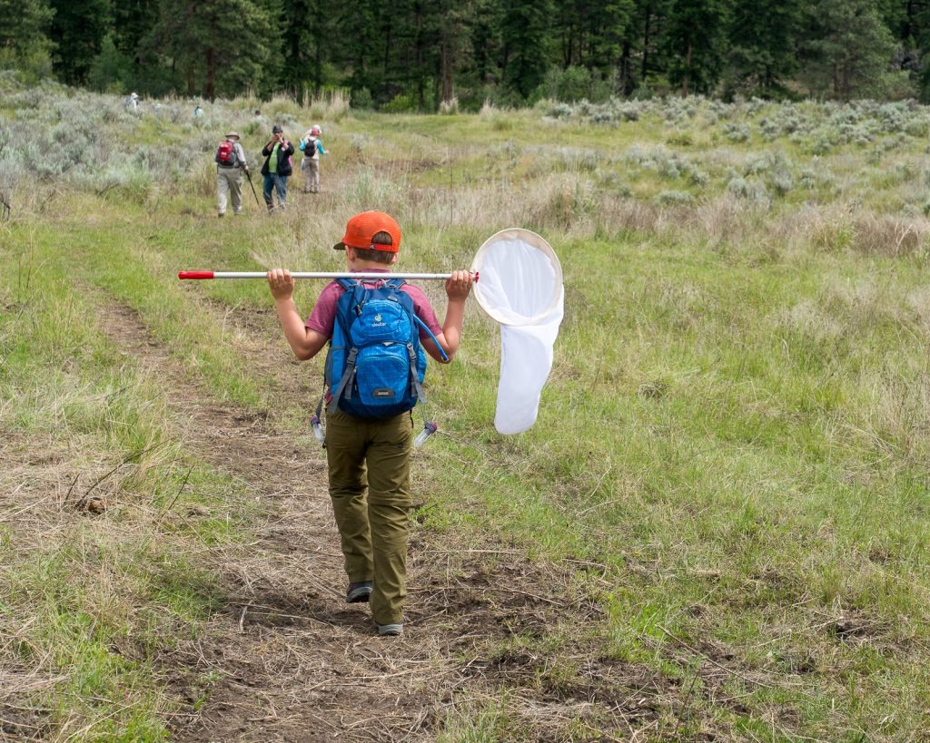 50+ Spring Nature Activities for Kids of All Ages by Backwoods Mama Josée Bergeron