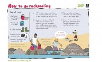 rockpool