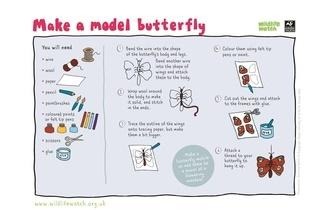 Model butterfly