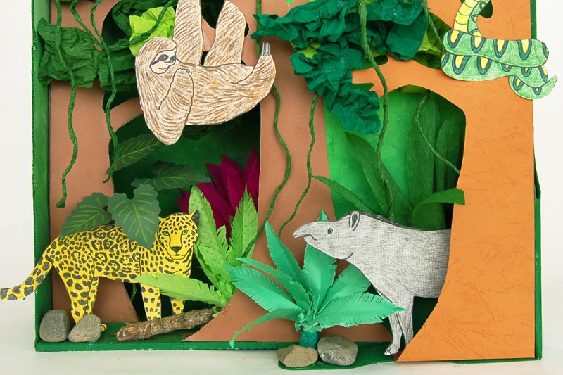 Rainforest Diorama craft