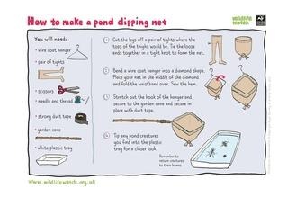 Pond dip net