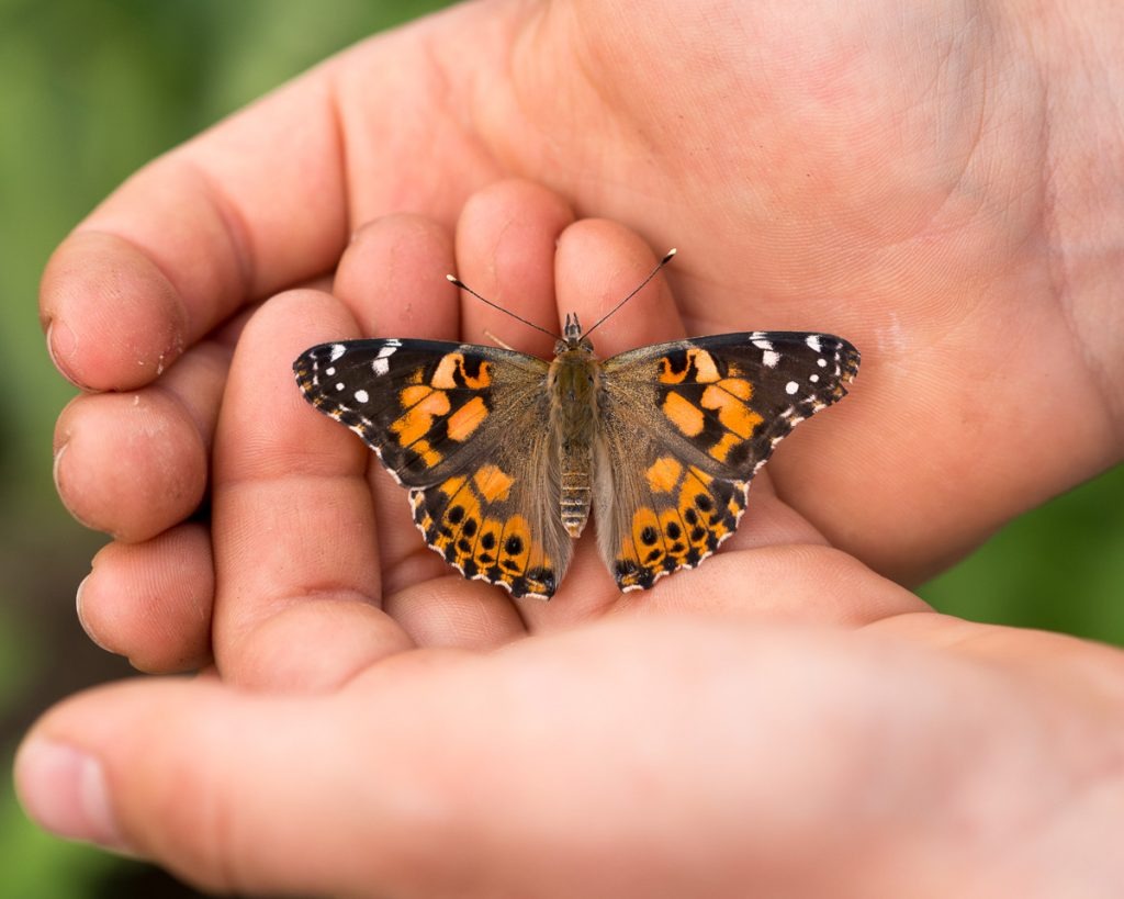 50+ Spring Nature Activities for Kids of All Ages by Backwoods Mama Josée Bergeron