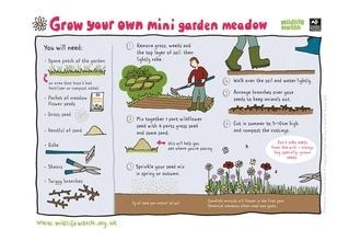 Mini meadow