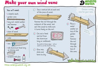 wind vane