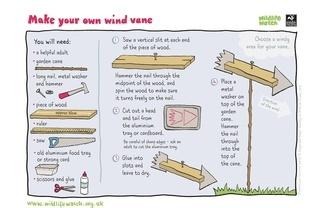 Wind vane