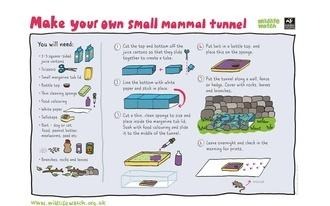 Mammal tunnel