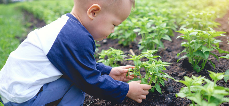 Kids Garden Tools